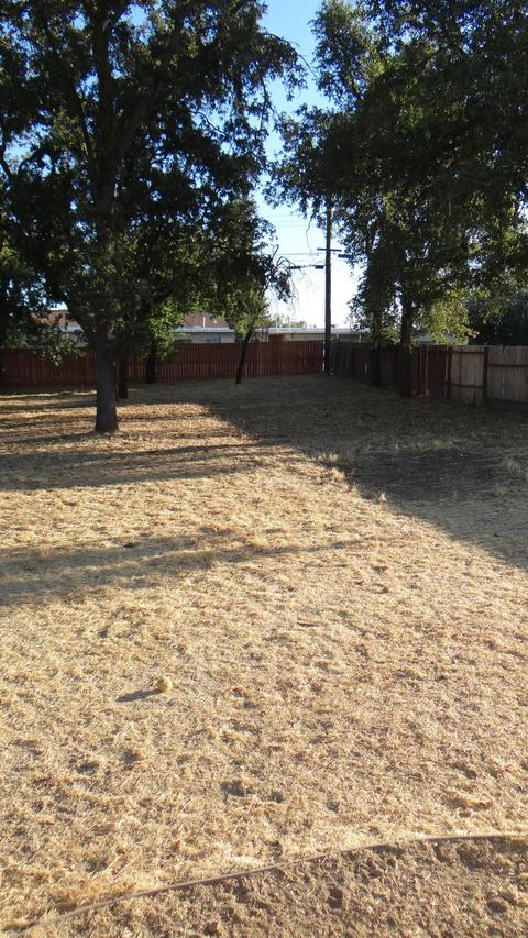 5733 Angelina Ave, Carmichael, CA 95608 photo 21
