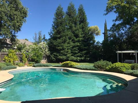 4150 Walnut Ave, Carmichael, CA 95608 photo 24