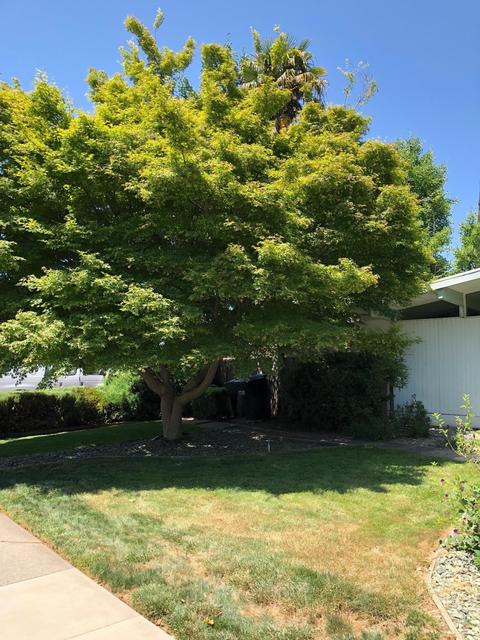 1201 Hooton Ct, Carmichael, CA 95608 photo 2