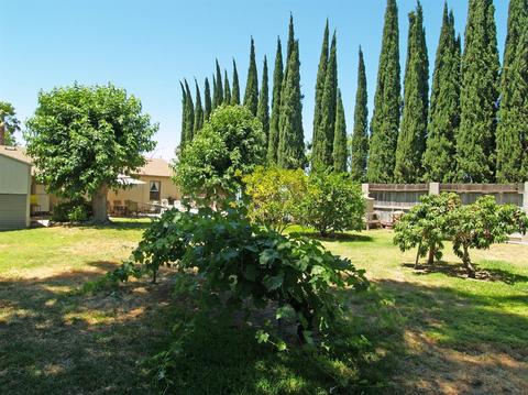 2504 7th St, Ceres, CA 95307 photo 29