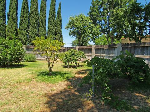 2504 7th St, Ceres, CA 95307 photo 30