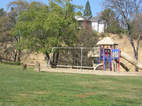 1819 American River Trl, Cool, CA 95614 photo 31