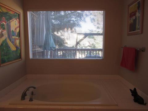 1819 American River Trl, Cool, CA 95614 photo 25