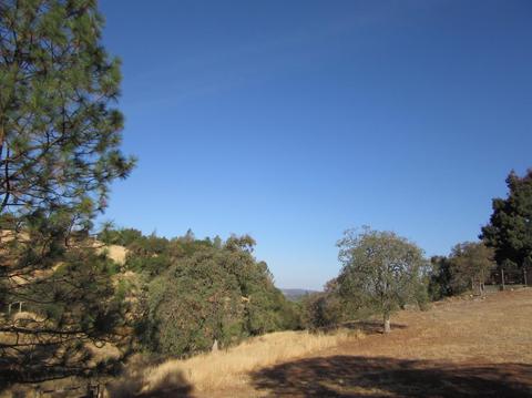 1819 American River Trl, Cool, CA 95614 photo 29