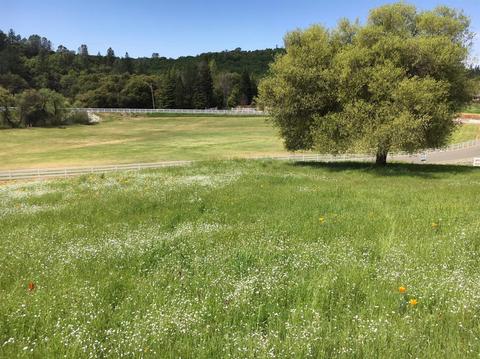 6341 Wagon Loop, Placerville, CA 95667 photo 1