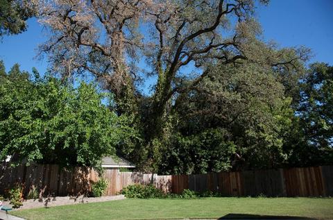 6350 Grant Ave, Carmichael, CA 95608 photo 8