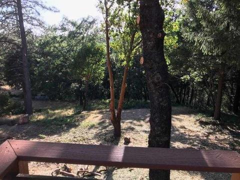 4115 Pine Mountain Rd, Foresthill, CA 95631 photo 36