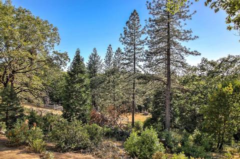 4115 Pine Mountain Rd, Foresthill, CA 95631 photo 31