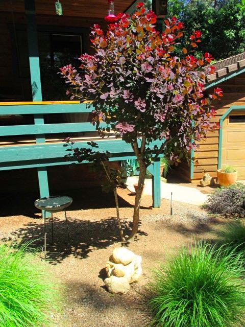 5756 Silverleaf Dr, Foresthill, CA 95631 photo 34