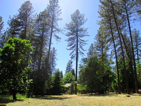 5756 Silverleaf Dr, Foresthill, CA 95631 photo 35