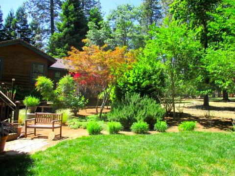 5756 Silverleaf Dr, Foresthill, CA 95631 photo 9