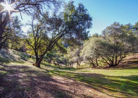 2458 Dutch Camp Ct, Cool, CA 95614 photo 31