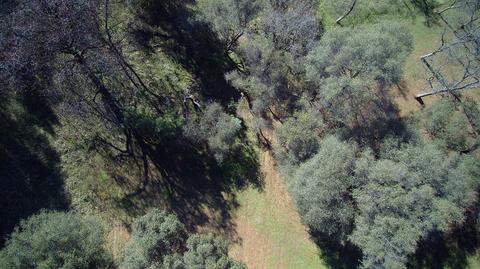 2458 Dutch Camp Ct, Cool, CA 95614 photo 32