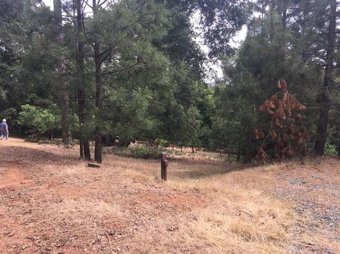 18545 Rainbow Ln, Pine Grove, CA 95665 photo 8