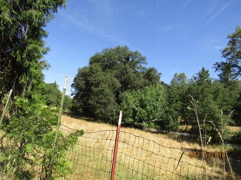 18270 Climax, Jackson, CA 95642 photo 9