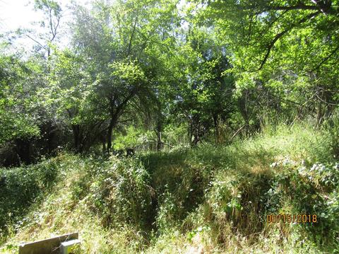 18270 Climax, Jackson, CA 95642 photo 8