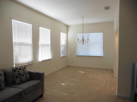 266 Hornfels Ave, Lathrop, CA 95330 photo 11
