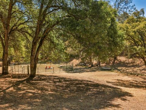 1393 Arrowbee Dr, Placerville, CA 95667 photo 11