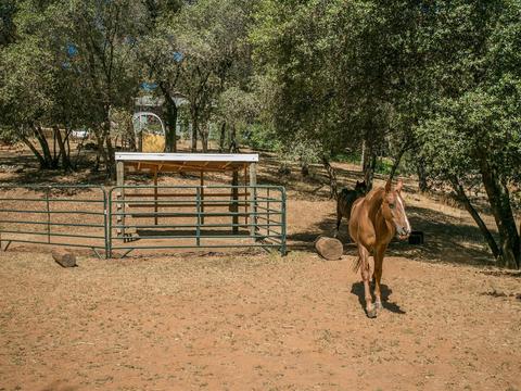 1393 Arrowbee Dr, Placerville, CA 95667 photo 12
