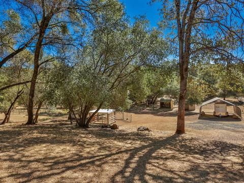 1393 Arrowbee Dr, Placerville, CA 95667 photo 14