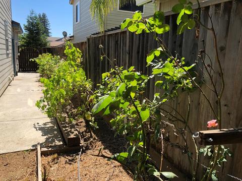 738 Foxglove Cir, Winters, CA 95694 photo 8