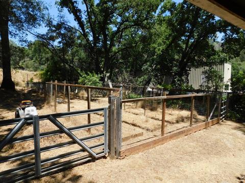 704 Shaws Flt, Sonora, CA 95370 photo 18