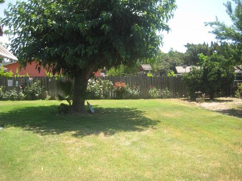 1809 Gail Ct, Ceres, CA 95307 photo 24