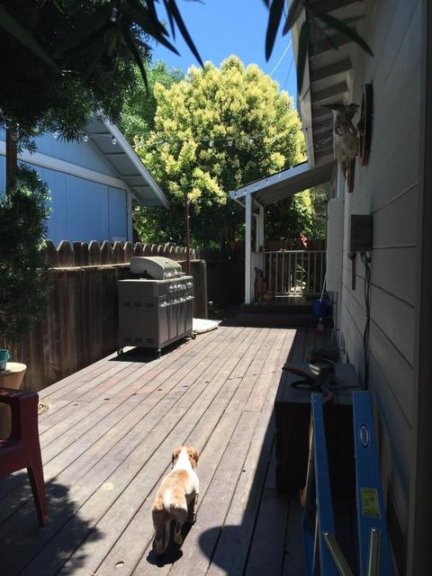 21 E Abbey St, Winters, CA 95694 photo 10
