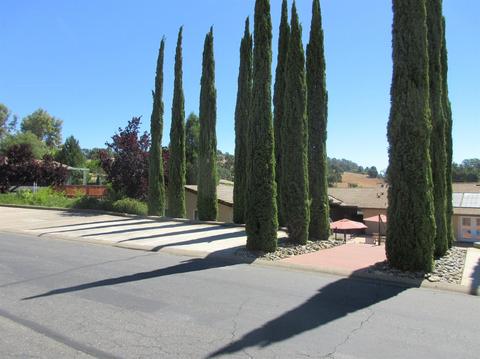 20 Rollingwood Dr #149, Jackson, CA 95642 photo 30