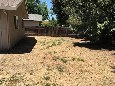 2821 Belhaven Pl, Davis, CA 95618 photo 24