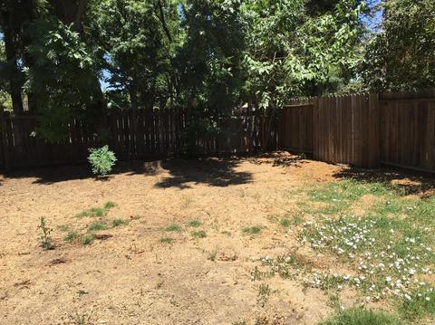 2821 Belhaven Pl, Davis, CA 95618 photo 27