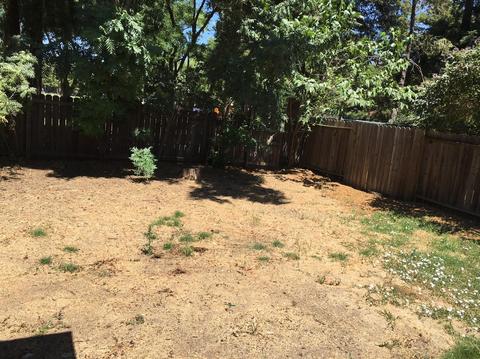 2821 Belhaven Pl, Davis, CA 95618 photo 28