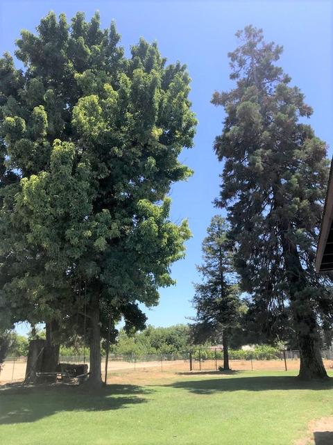 4012 Esmar Rd, Ceres, CA 95307 photo 17