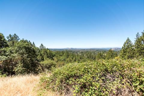 6561 White Cloud Rd, Placerville, CA 95667 photo 16