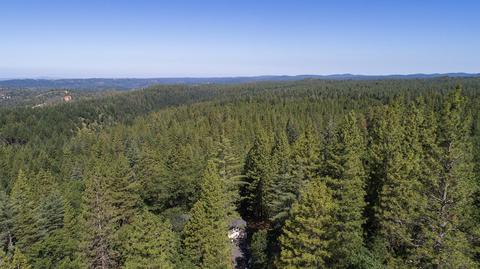 6288 Pine Needle Ln, Placerville, CA 95667 photo 33