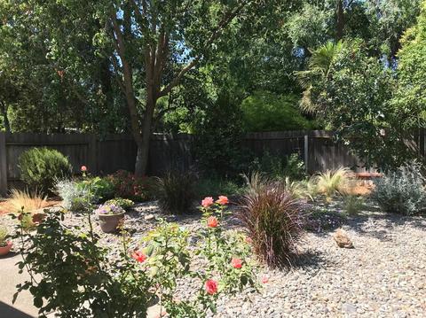 403 Jardin Pl, Davis, CA 95616 photo 17