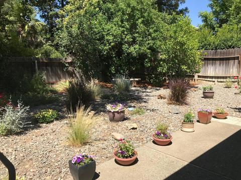 403 Jardin Pl, Davis, CA 95616 photo 16