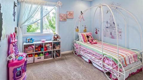 1735 Doak Blvd, Ripon, CA 95366 photo 25