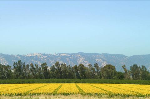 26390 County Road 97, Davis, CA 95616 photo 27