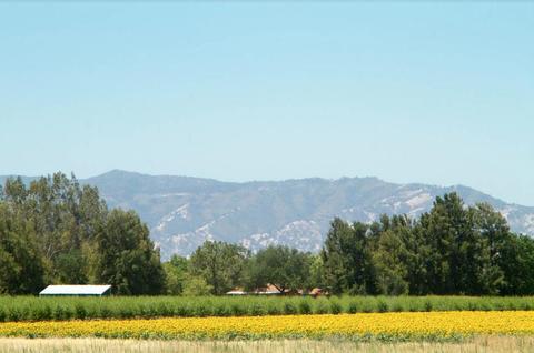 26390 County Road 97, Davis, CA 95616 photo 25