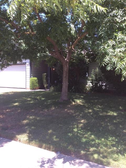 235 W E St, Galt, CA 95632 photo 2
