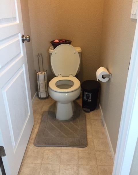 16679 Loganberry Way, Lathrop, CA 95330 photo 30