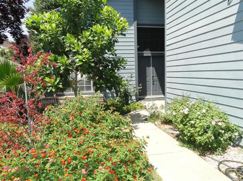 4219 Singing Tree Way, Antelope, CA 95843 photo 3