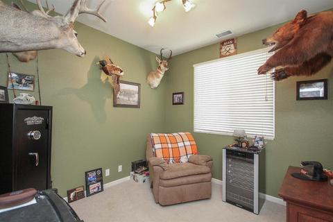 632 Snapdragon St, Winters, CA 95694 photo 20