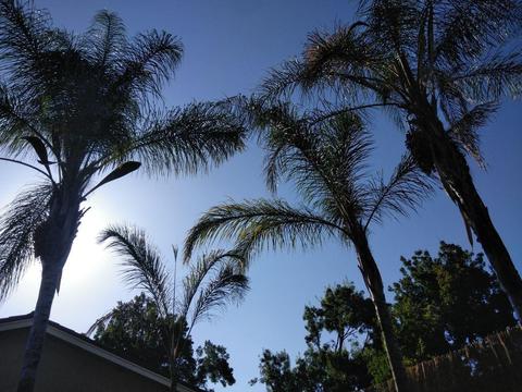 3417 Switzer Ave, Modesto, CA 95350 photo 21