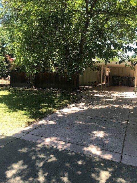 914 Oak Ave, Davis, CA 95616 photo 26