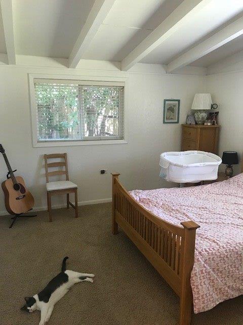 914 Oak Ave, Davis, CA 95616 photo 4