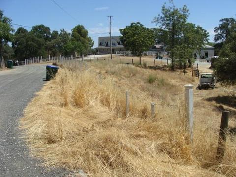 20550 Tuttletown Rd, Sonora, CA 95370 photo 22
