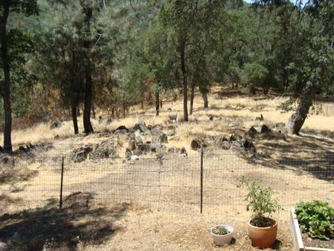 20550 Tuttletown Rd, Sonora, CA 95370 photo 8