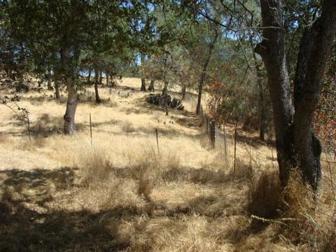 20550 Tuttletown Rd, Sonora, CA 95370 photo 2